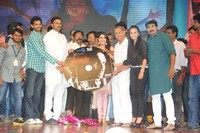 Prabhanjanam Audio Launch